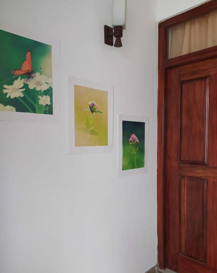 River Side Holiday Inn Weligama Exterior foto